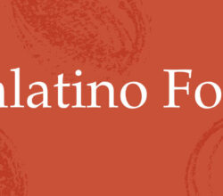 Palatino Font Free Download