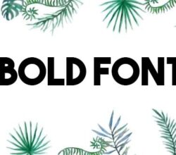 Bold Font Free Download