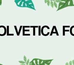 Coolvetica Font Free Download