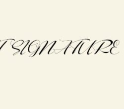 Right Signature Font Free Download