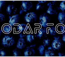 Exodar Font Free Download