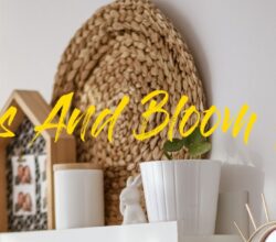 Gloss and Bloom Font Free Download