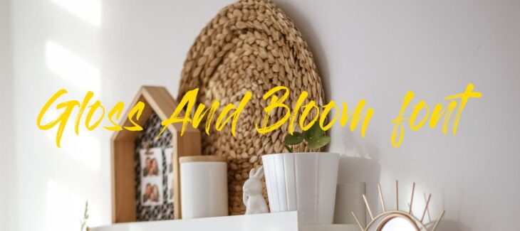 Gloss and Bloom Font Free Download