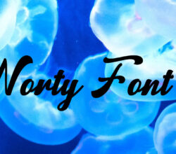 Norty Font Free Download