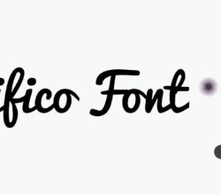 Pacifico Font Free Download