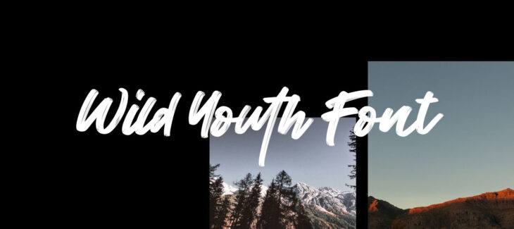 Wild Youth Font Free Download