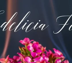 Adelicia Font Free Download