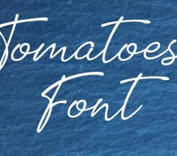 Tomatoes Font Free Download