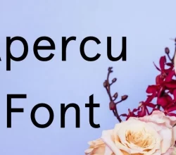 Apercu Font Free Download