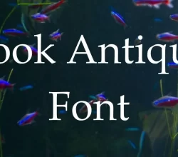 Book Antiqua Font Free Download