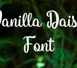 Vanilla Daisy Font Free Download