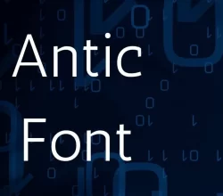 Antic Font Free Download