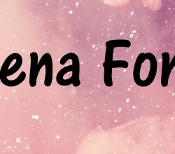 Cena Font Free Download