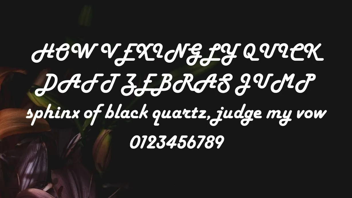 Harlow Solid Font 