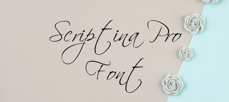 Scriptina Pro Font Free Download