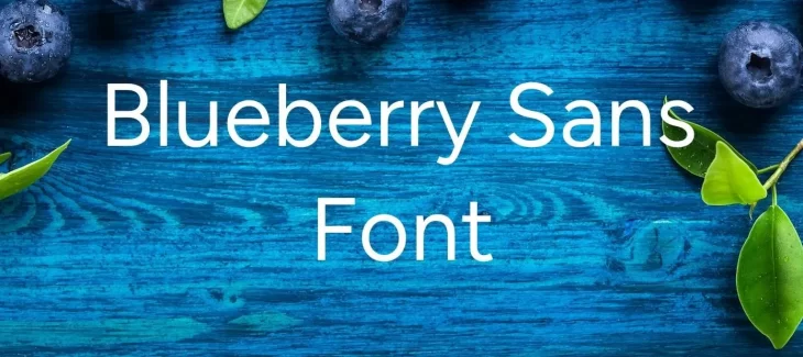 Blueberry Sans Font Free Download