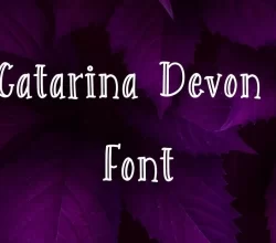 Catarina Devon Font Free Download