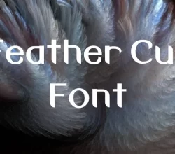 Feather Cut Font Free Download