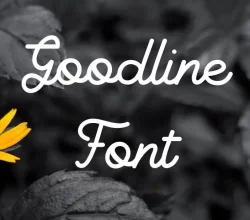 Goodline Font Free Download