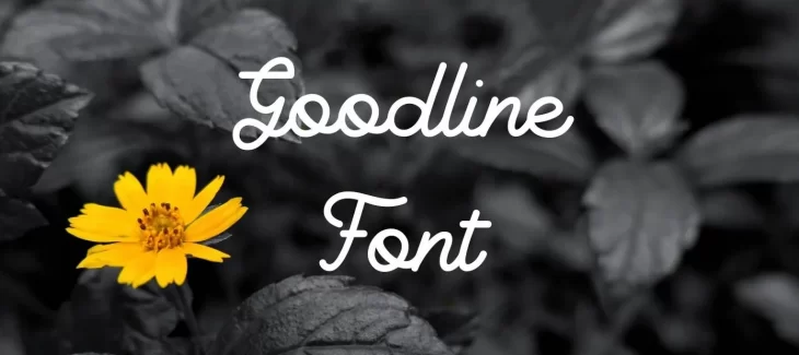 Goodline Font Free Download