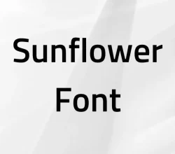 Sunflower Font Free Download