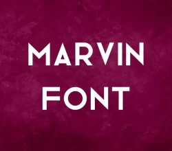 Marvin Font Free Download