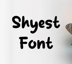 Shyest Font Free Download