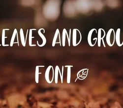 Leaves And Ground Font Free Download