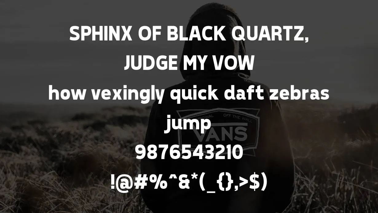 Vans logo Font Family Appearance