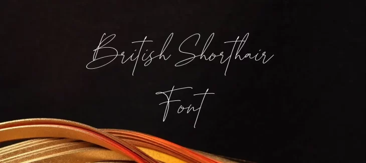 British Shorthair Font Free Download