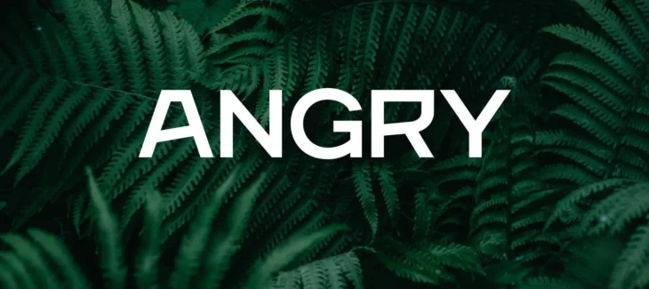 Angry Font Free Download 