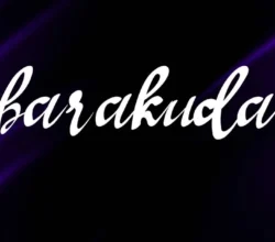 Barakuda Font Free Download 