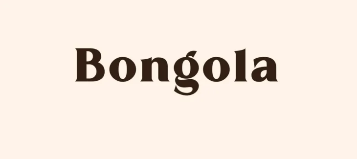 Bongola Font Free Download 