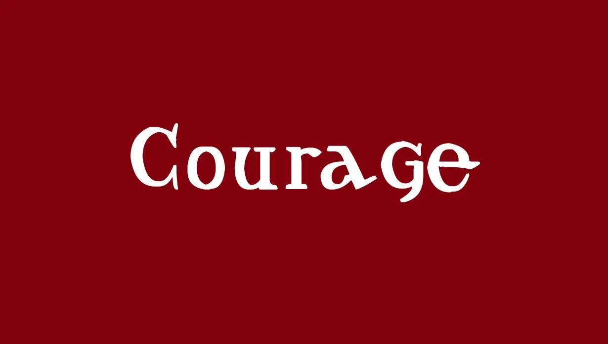 Brave font