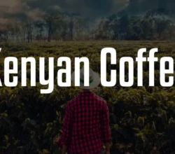 Kenyan Coffee Font Free Download